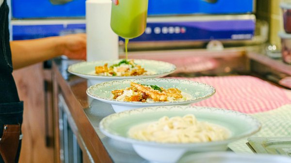 The complete handbook for seamlessly integrating your rescue parrot with other birds